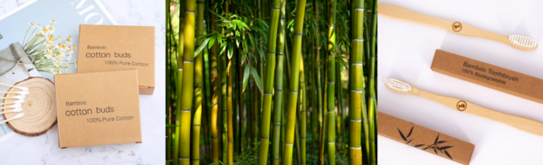 bamboe producten,bamboo products,bamboe borrelplank,bamboe kaasplank,luxe borrelplank,bamboe tandenborstel,bamboo toothbrush,bamboe thermosfles,bamboo thermos flask,duurzaam bamboe,bamboo cotton swab,bamboe wattenstaafjes,bamboo cotton buds,bamboo snijplank,bamboo cutting board,bamboe kaasplank,bamboo cheeseboard,bamboe borrelplank,bamboo board,houten tapasbord,tapas bord,bamboo products,bamboe producten,bamboe thermosfles,bamboo thermosflask,bamboo straw,bamboe rietjes,bamboo cotton swab,bamboe wattenstaafjes,cadeauwinkel,kadowinkel,concept store,conceptstore,giftshop,giftstore
