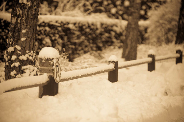 Ansichtkaart "Sepia Winter"