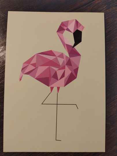 Ansichtkaart "Flamingo", ansichtkaart kopen