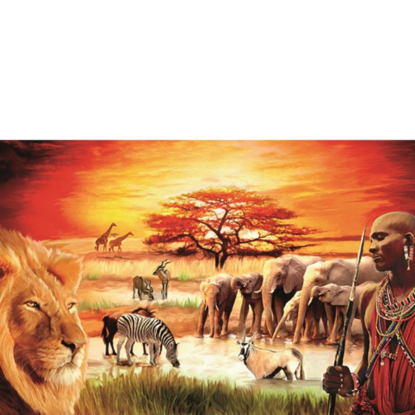 Diamond Painting "Africa" 50x40 cm, Diamond Painting DIY