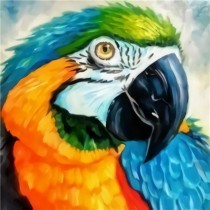 Diamond Painting "Ara papegaai" 25x15 cm